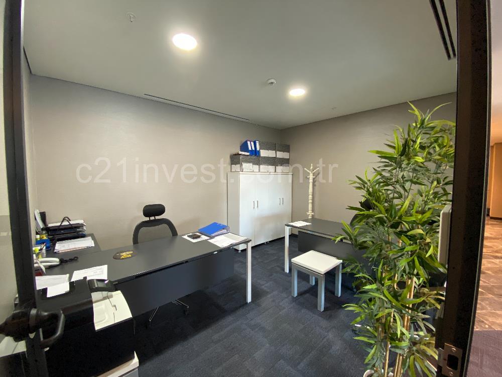 Porta Vadi Kiralık Ofis 293m2 Mobilyalı Dekorasyonlu Vadistanbul
