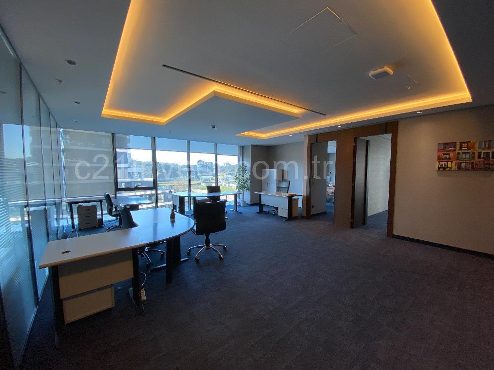 Porta Vadi Kiralık Ofis 293m2 Mobilyalı Dekorasyonlu Vadistanbul