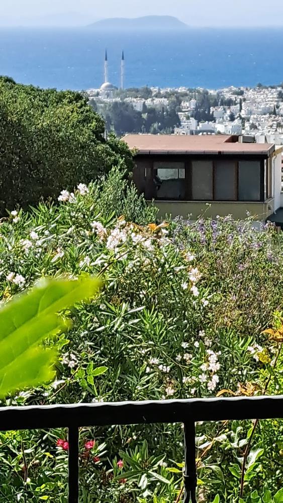 TURGUTREİS KARABAĞ YATIRIMLIK YAZLIK KIŞLIK