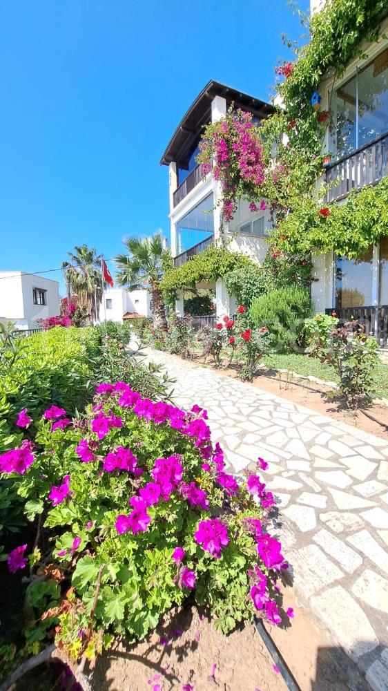 TURGUTREİS KARABAĞ YATIRIMLIK YAZLIK KIŞLIK