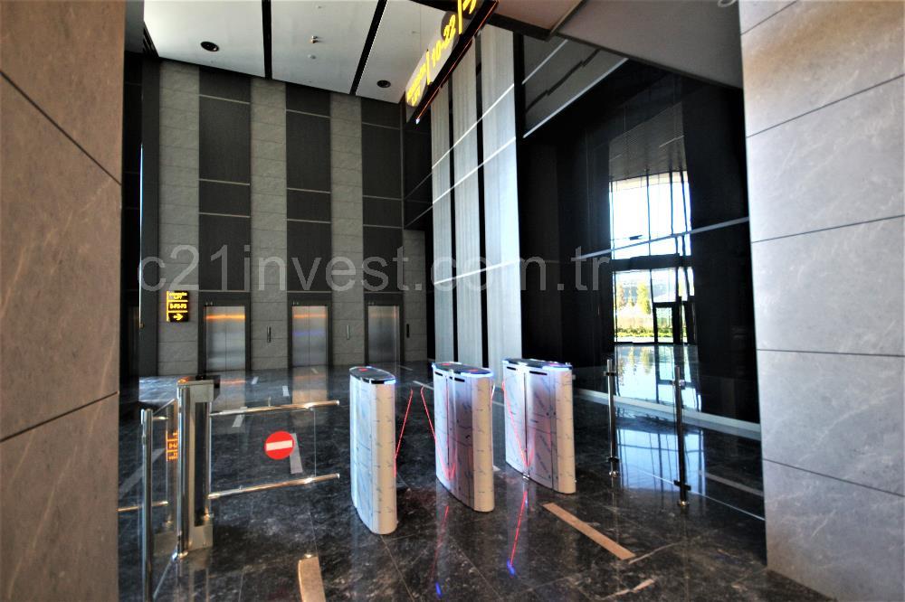 Vadistanbul Kiralık Ofis 450m2 Teraslı Orman Cephe Skyland Seba