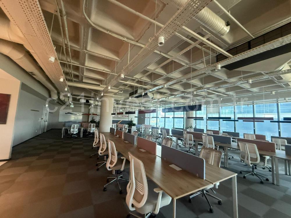 Vadistanbul Kiralık Ofis 991m2+100m2 Teraslı Eşyalı Ofis Skyland