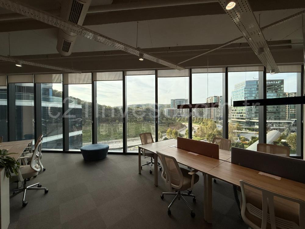 Vadistanbul Kiralık Ofis 991m2 Mobilyalı Taşınmaya Hazır Teraslı