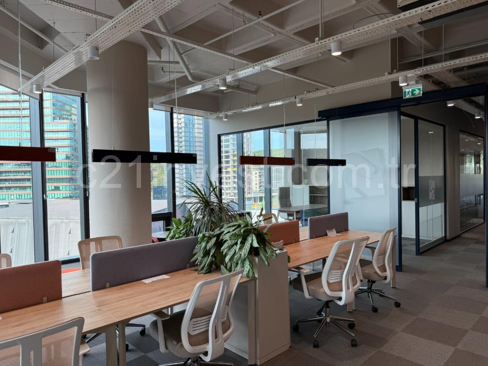 Vadistanbul Kiralık Ofis 991m2 Mobilyalı Taşınmaya Hazır Teraslı