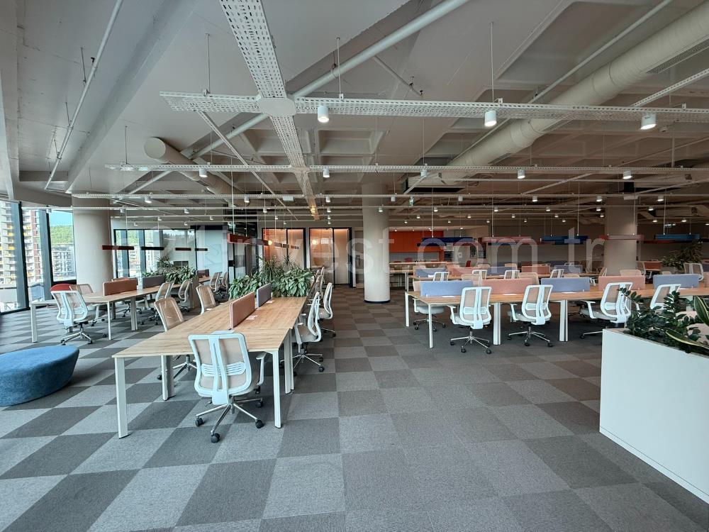 Vadistanbul Kiralık Ofis 991m2 Mobilyalı Taşınmaya Hazır Teraslı
