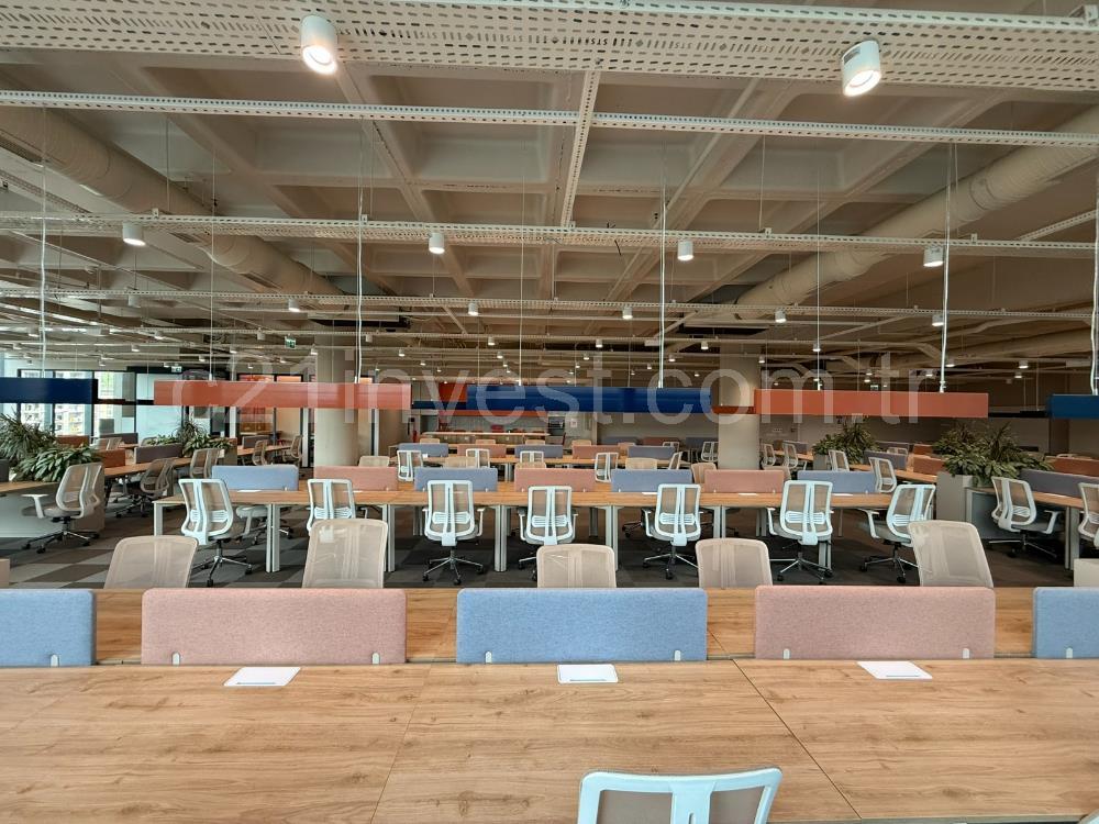 Vadistanbul Kiralık Ofis 991m2 Mobilyalı Taşınmaya Hazır Teraslı