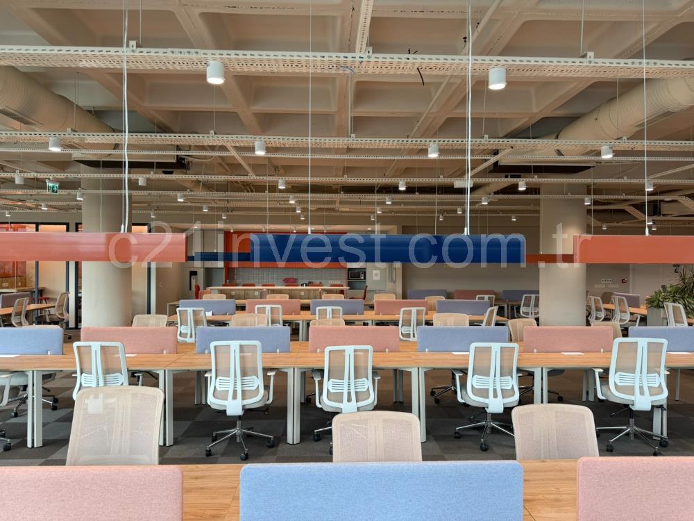 Vadistanbul Kiralık Ofis 991m2 Mobilyalı Taşınmaya Hazır Teraslı