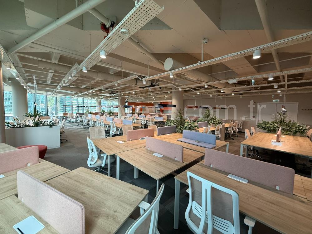 Vadistanbul Kiralık Ofis 991m2 Mobilyalı Taşınmaya Hazır Teraslı