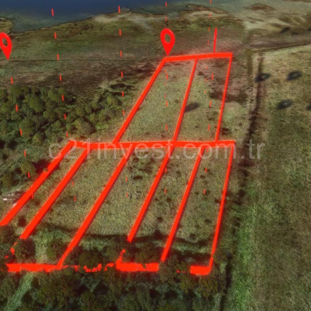 Yalova Altınova Kaytazderede 7.443 m² Çayır Nitelikli 7 Parsel 