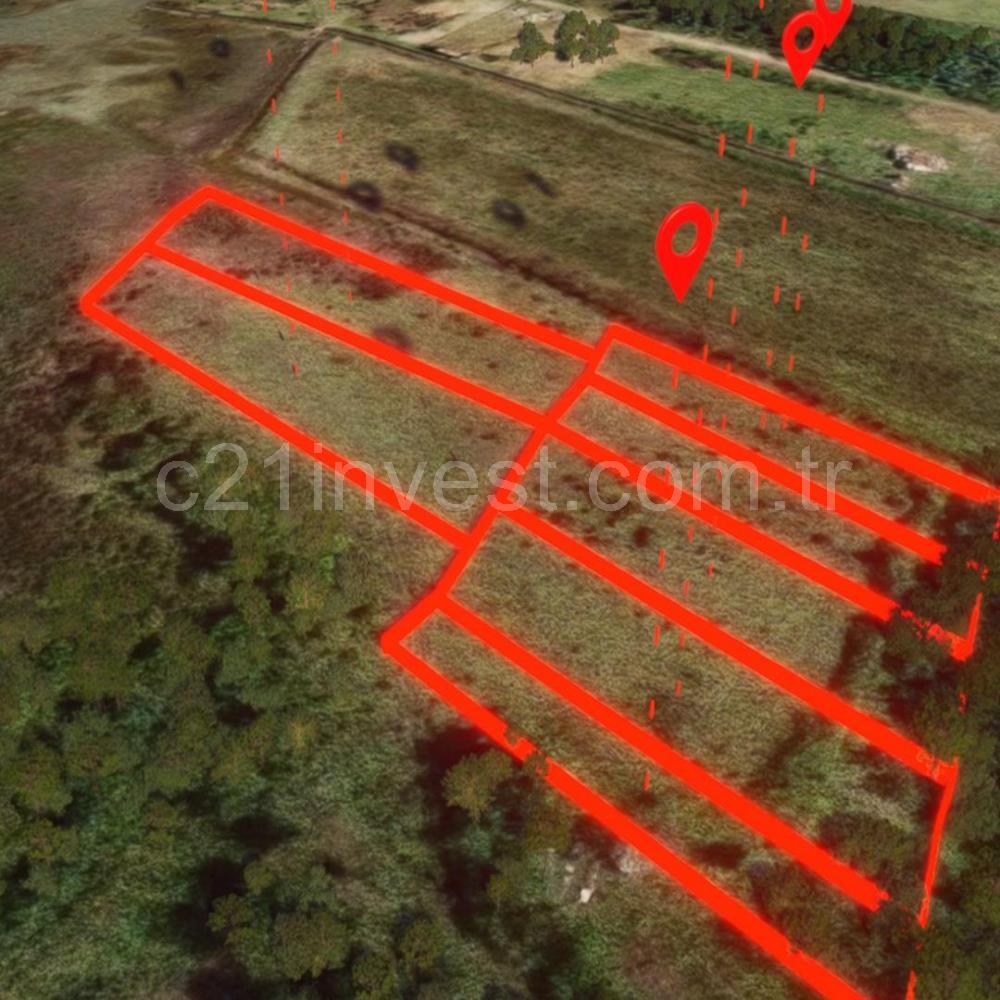 Yalova Altınova Kaytazderede 7.443 m² Çayır Nitelikli 7 Parsel 