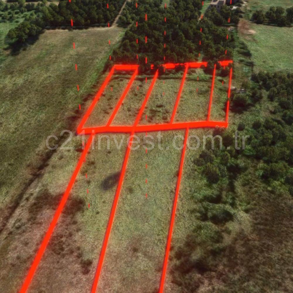 Yalova Altınova Kaytazderede 7.443 m² Çayır Nitelikli 7 Parsel 