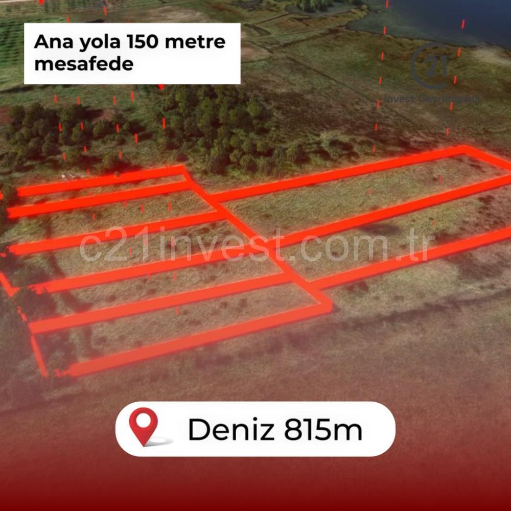 Yalova Altınova Kaytazderede 7.443 m² Çayır Nitelikli 7 Parsel 