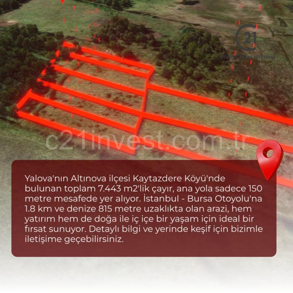 Yalova Altınova Kaytazderede 7.443 m² Çayır Nitelikli 7 Parsel 