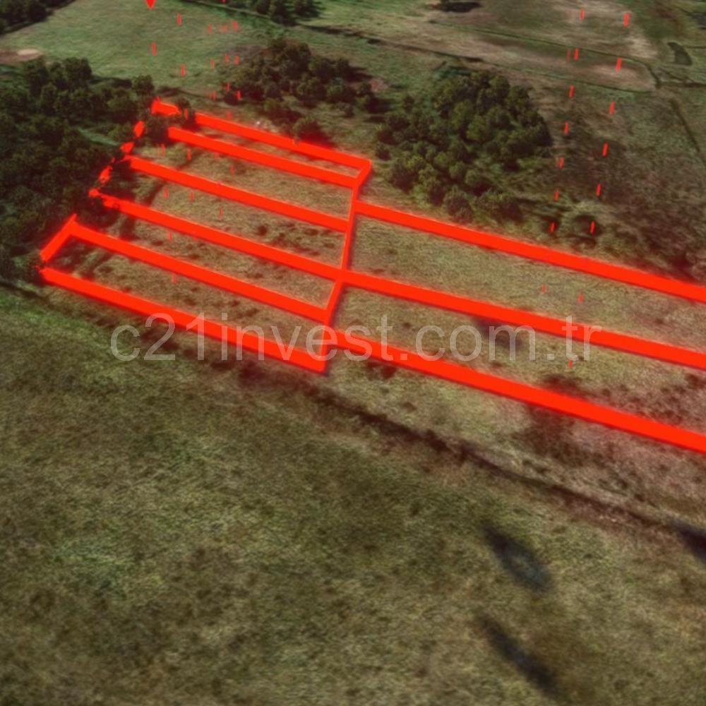 Yalova Altınova Kaytazderede 7.443 m² Çayır Nitelikli 7 Parsel 