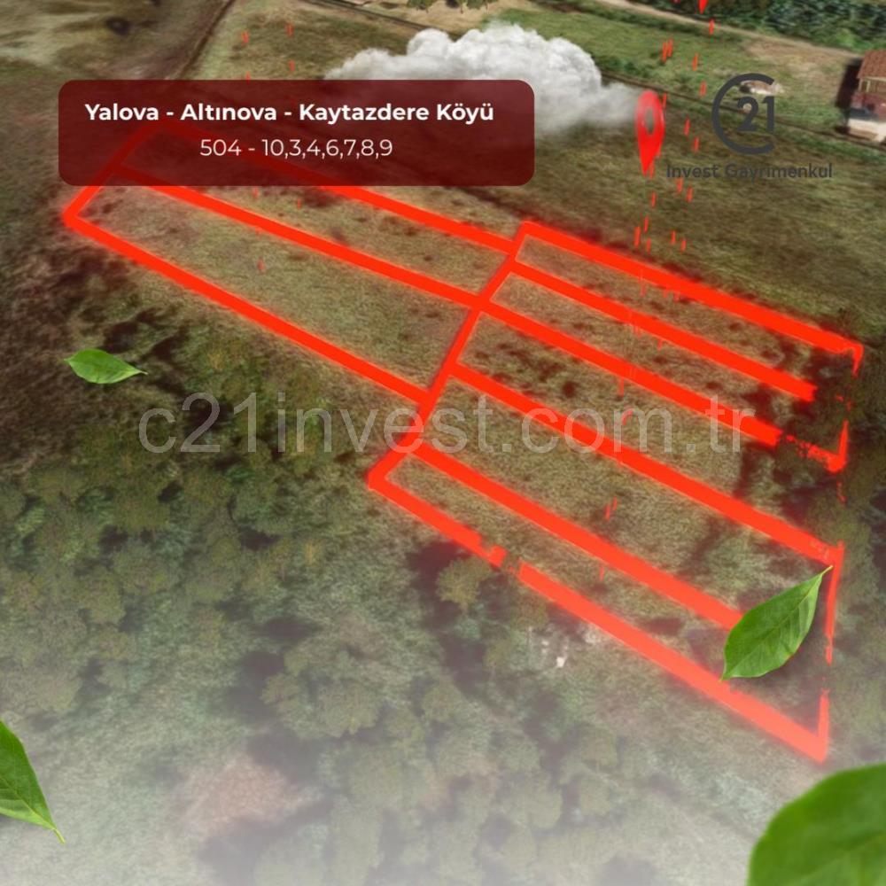 Yalova Altınova Kaytazderede 7.443 m² Çayır Nitelikli 7 Parsel 