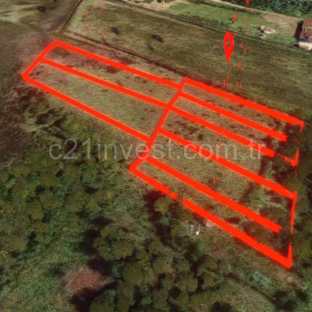 Yalova Altınova Kaytazderede 7.443 m² Çayır Nitelikli 7 Parsel 