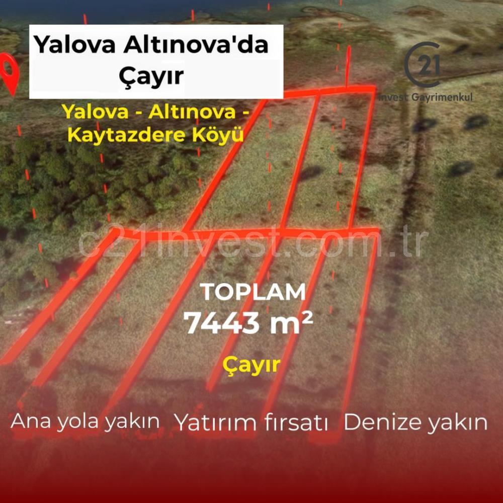 Yalova Altınova Kaytazderede 7.443 m² Çayır Nitelikli 7 Parsel 
